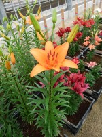 [5021 Tresor EVR No01.JPG]